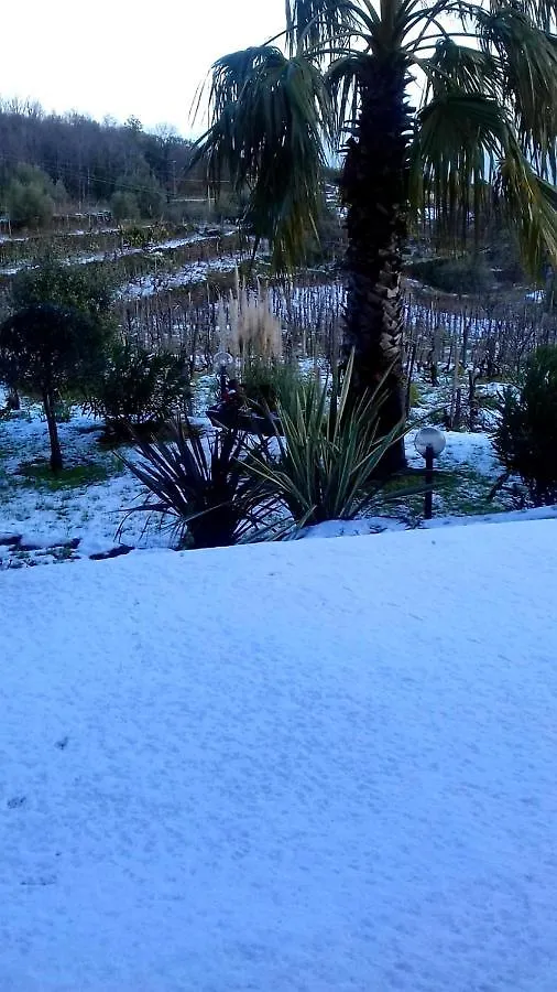 Villa Etna Masi' Milo Holiday home