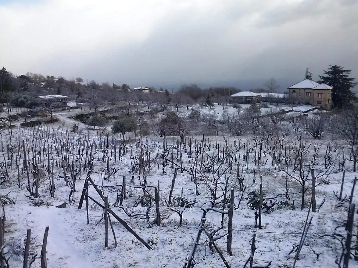 Holiday home Villa Etna Masi' Milo