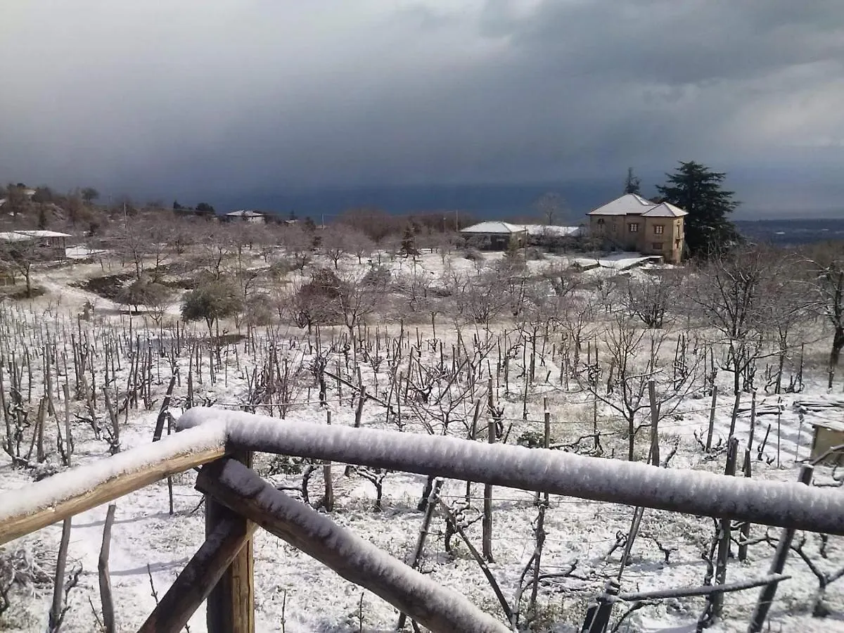 Villa Etna Masi\' contacts