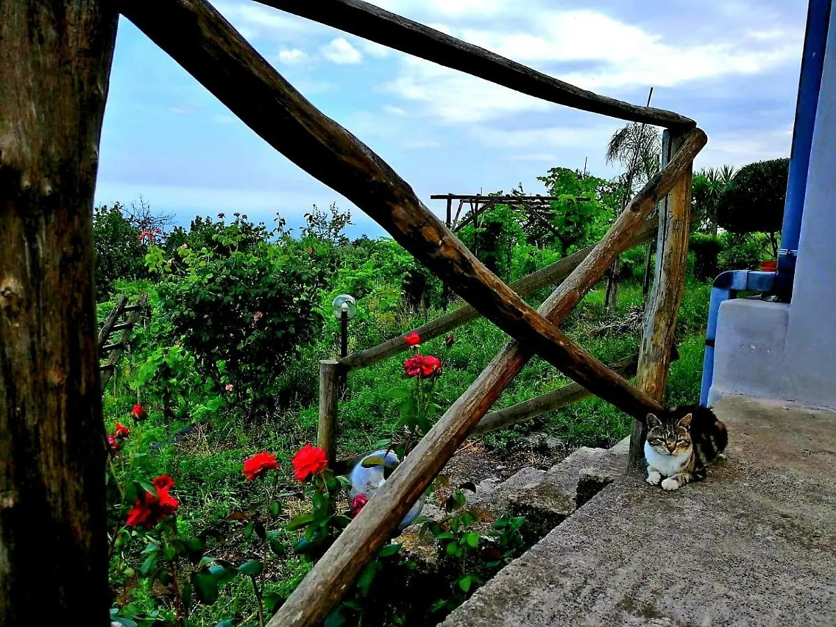 Holiday home Villa Etna Masi' Milo
